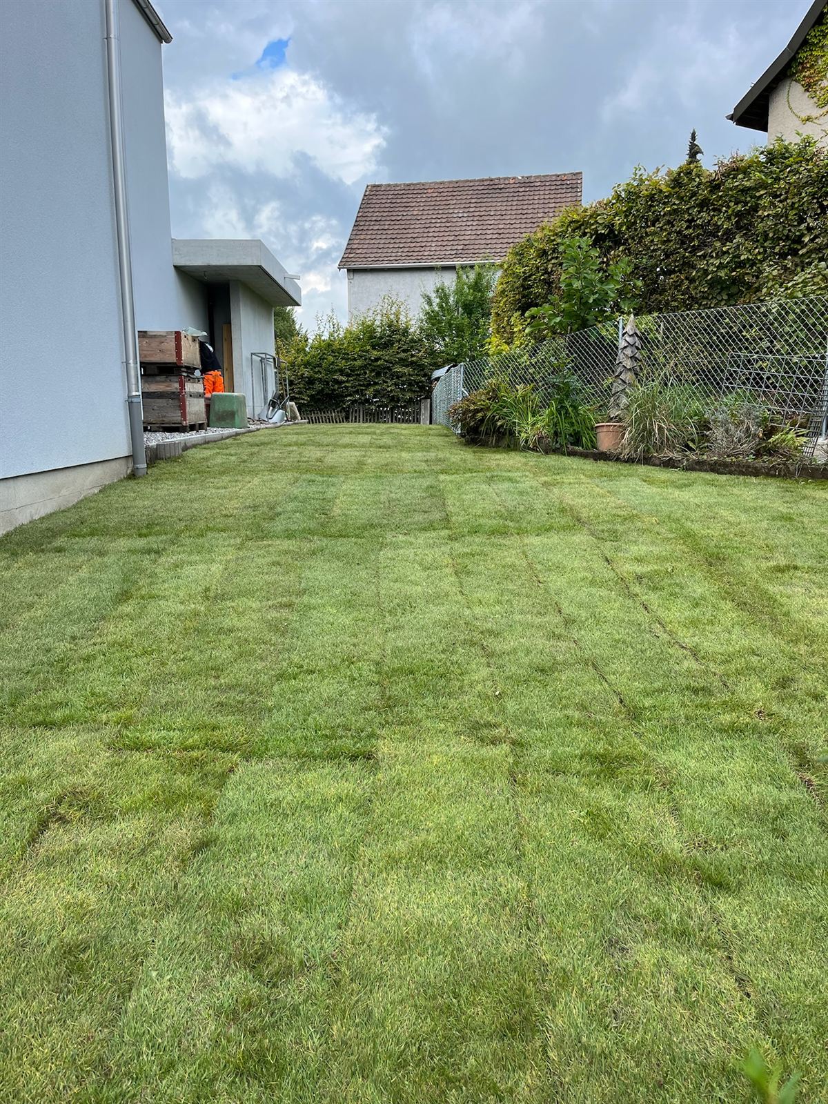Frisch verlegter Rollrasen entlang eines Wohnhauses